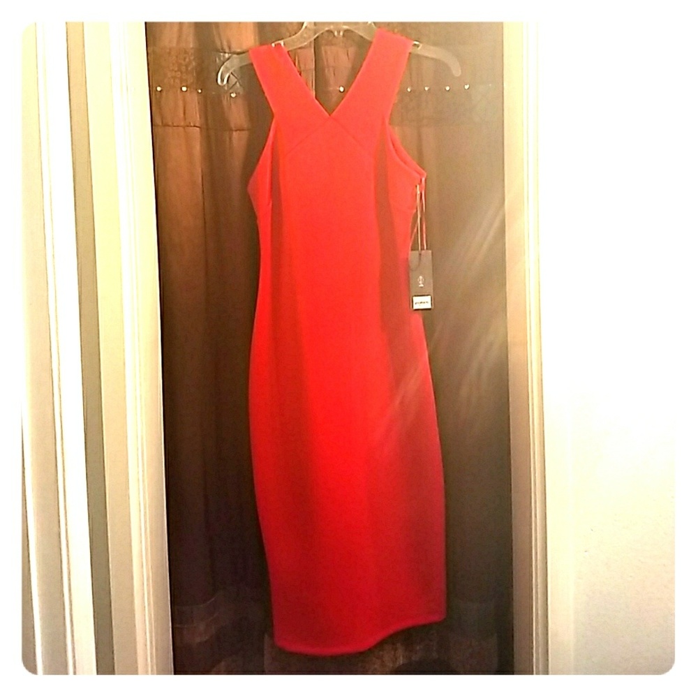 Cockatil dress